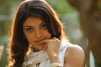 Kajal Agarwal New Stills